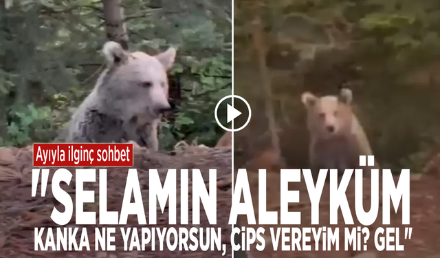 Ayıyla ilginç sohbet: "Selamın aleyküm, kanka ne yapıyorsun, cips vereyim mi? Gel"