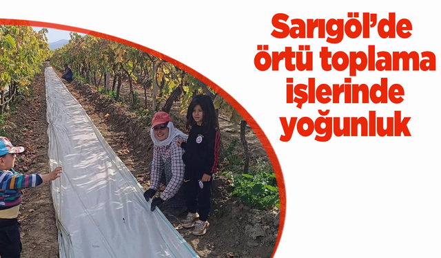 Sarıgöl’de örtü toplama işlerinde yoğunluk