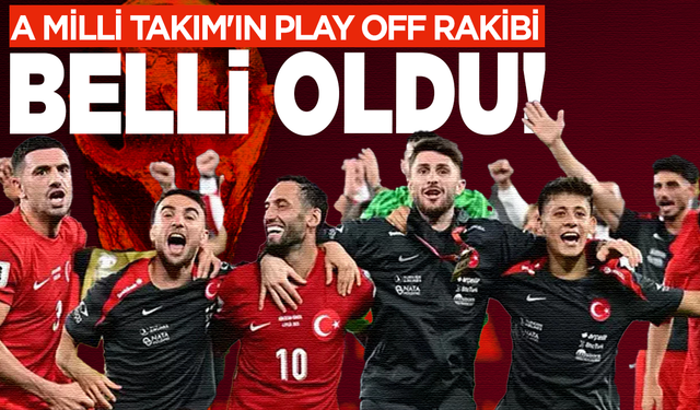 A Milli Takım'ın play off rakibi belli oldu