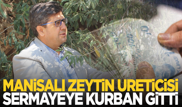 Manisalı zeytin üreticisi sermaye kurbanı oldu