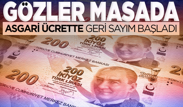 Asgari Ücrette Geri Sayım Başladı: İlk toplantı ne zaman yapılacak?