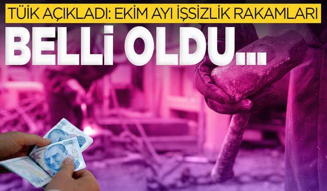TÜİK Ekim ayı işsizlik rakamlarını açıkladı