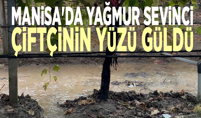 Manisa'da yağmur sevinci: Çiftçinin yüzü güldü