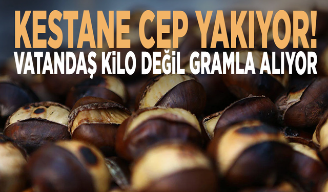 Kestane cep yakıyor: Vatandaş kilo değil gramla alıyor