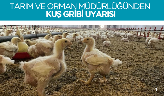 Tarım ve Orman İl Müdürlüğünden üreticilere Kuş Gribi riski uyarısı