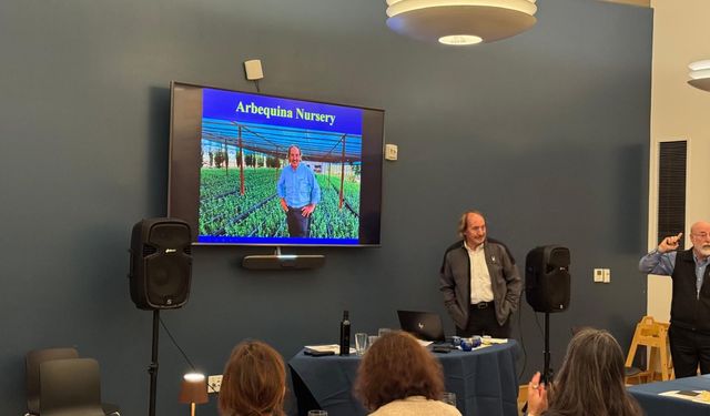 Türk zeytinyağına ABD'de büyük ilgi