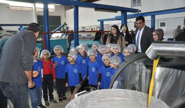 Ağaçtan sofraya zeytin: Minikler keşfe çıktı