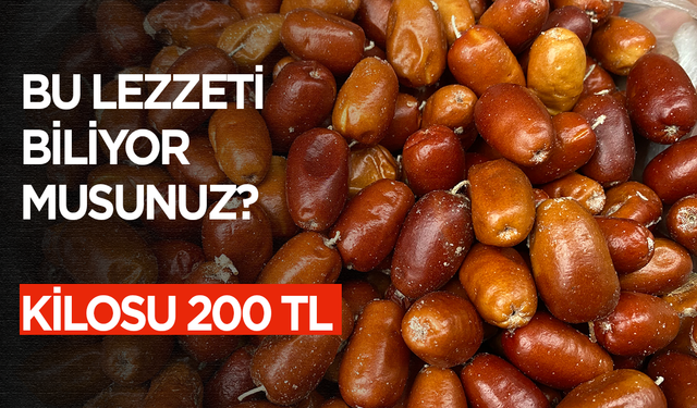 Manisa'da iğdeler unutulmaya başladı