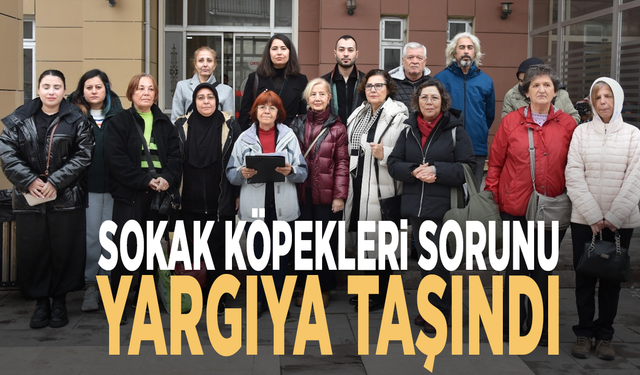 Sokak köpekleri sorunu yargıya taşındı