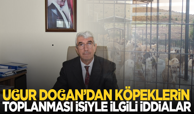 Uğur Doğan’dan köpeklerin toplanması işiyle ilgili iddialar