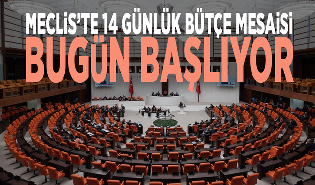 Meclis’te 14 günlük bütçe mesaisi bugün başlıyor