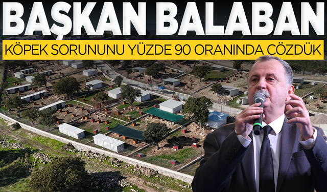 Yunusemre Belediye Başkanı Semih Balaban: Köpek sorununu yüzde 90 oranında çözdük