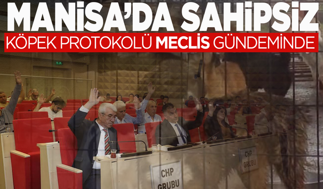 Manisa’da Sahipsiz Köpek Protokolü Meclis Gündeminde