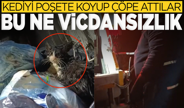Kedi belediye personelinin dikkati sayesinde kurtarıldı