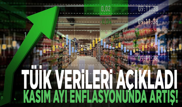 TÜİK verileri açıkladı: Kasım ayı enflasyonunda artış!