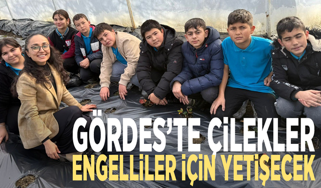 Gördes’te çilekler engelliler için yetişecek