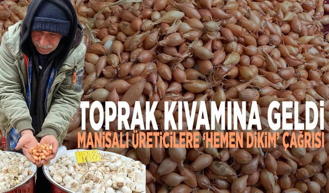 Toprak kıvamına geldi: Manisalı üreticilere ‘Hemen dikim’ çağrısı