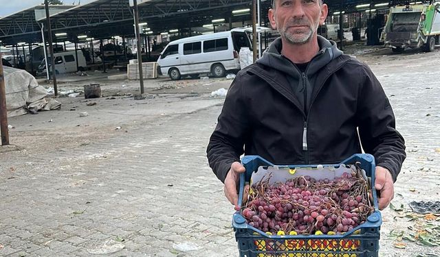 2025 yılı üzümlerini 2026’da bitirdi