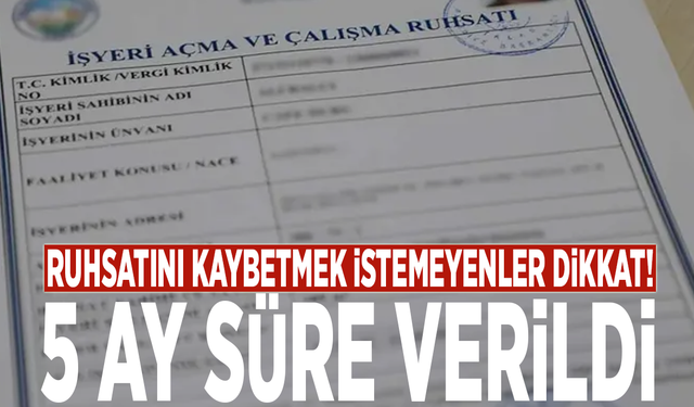 Ruhsatını kaybetmek istemeyenler dikkat! 5 ay süre verildi