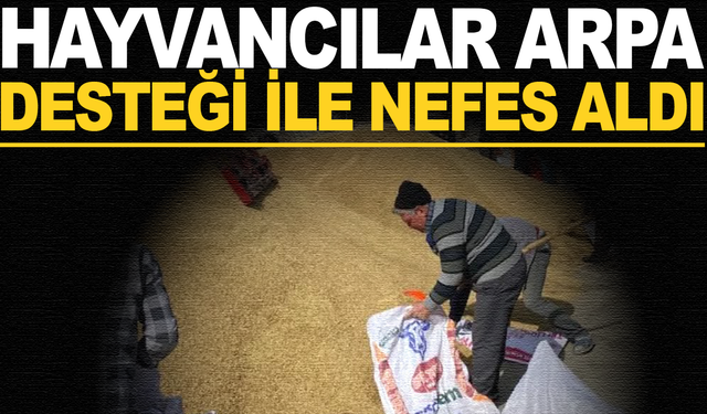 Hayvancılara nefes aldıran arpa desteği