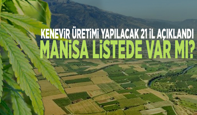 Kenevir üretimi yapılacak 21 il açıklandı...  Manisa listede var mı?