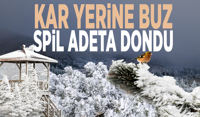 Kar yerine buz...  Spil adeta dondu