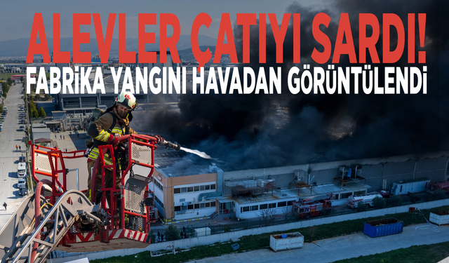 Alevler çatıyı sardı! Fabrika yangını havadan görüntülendi