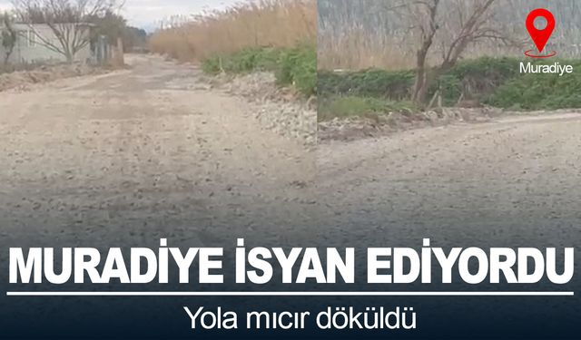 Muradiyeliler İsyan ediyordu! Yola mıcır döküldü