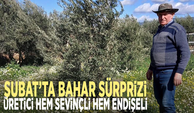 Şubat’ta bahar sürprizi... Üretici hem sevinçli hem endişeli