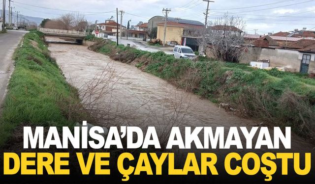 Manisa'da akmayan dere ve çaylar coştu