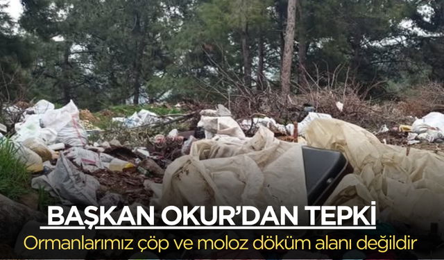 Soma Belediye Başkanı Okur: Ormanlarımız çöp ve moloz döküm alanı değildir