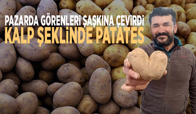 Pazarda görenleri şaşkına çevirdi... Kalp şeklinde patates