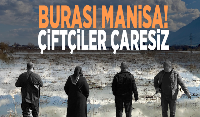 Burası Manisa! Çiftçiler çaresiz