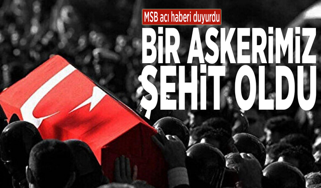 MSB acı haberi duyurdu... Bir askerimiz şehit oldu