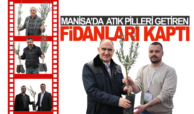 Manisa'da atık piller doğaya zeytin olarak dönüyor