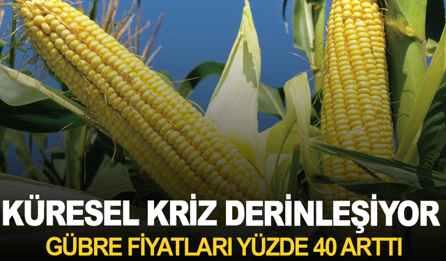 Küresel Kriz Derinleşiyor: Gübre Fiyatları %40 Arttı
