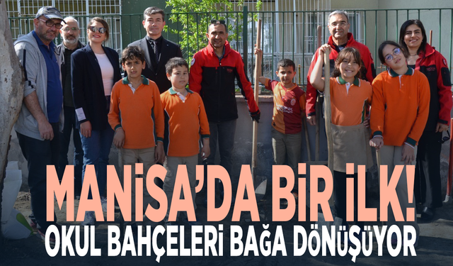 Manisa’da bir ilk! Okul bahçeleri bağa dönüşüyor