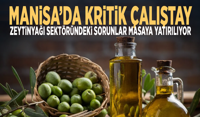 Manisa’da kritik çalıştay... Zeytinyağı sektöründeki sorunlar masaya yatırılıyor