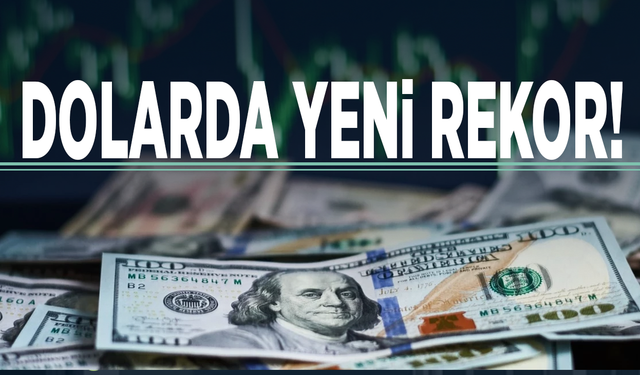 Dolarda yeni rekor!