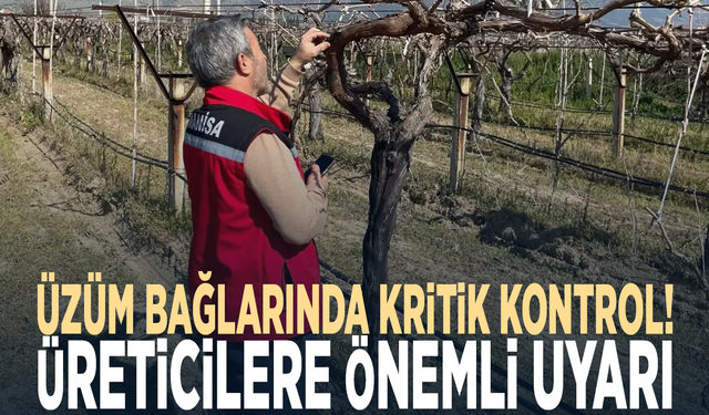 Üzüm bağlarında kritik kontrol! Üreticilere önemli uyarı