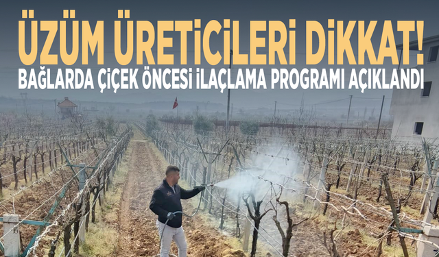 Üzüm üreticileri dikkat! Bağlarda çiçek öncesi ilaçlama programı açıklandı