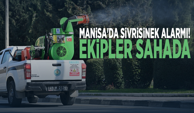 Manisa'da sivrisinek alarmı! Ekipler sahada
