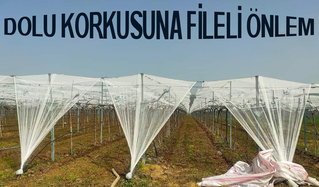 Dolu korkusuna fileli önlem