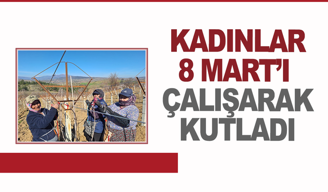 Manisa'da kadınlar 8 Mart'ı çalışarak kutladı