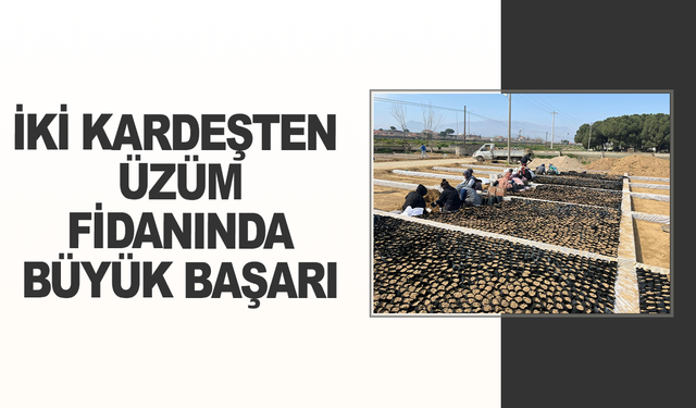 İki kardeşten üzüm fidanında büyük başarı