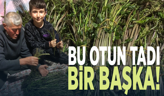 Bu otun tadı bir başka!