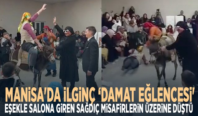 Manisa'da ilginç ‘damat eğlencesi'... Eşekle salona giren sağdıç misafirlerin üzerine düştü