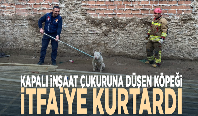 Kapalı inşaat çukuruna düşen köpeği itfaiye kurtardı