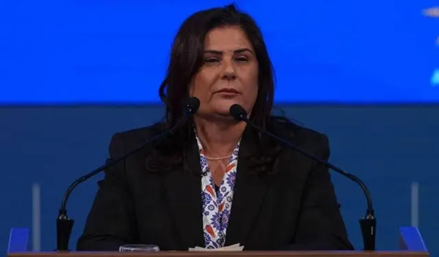 Özle Çerçioğlu, CHP'li Tezcan hakkında suç duyurusunda bulunacak