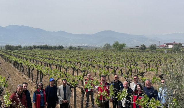 Türkiye’de ilk kez “Birlikte Kontrollü-Kaliteli-Kalıntısız Bağcılık” projesi hayata geçirildi